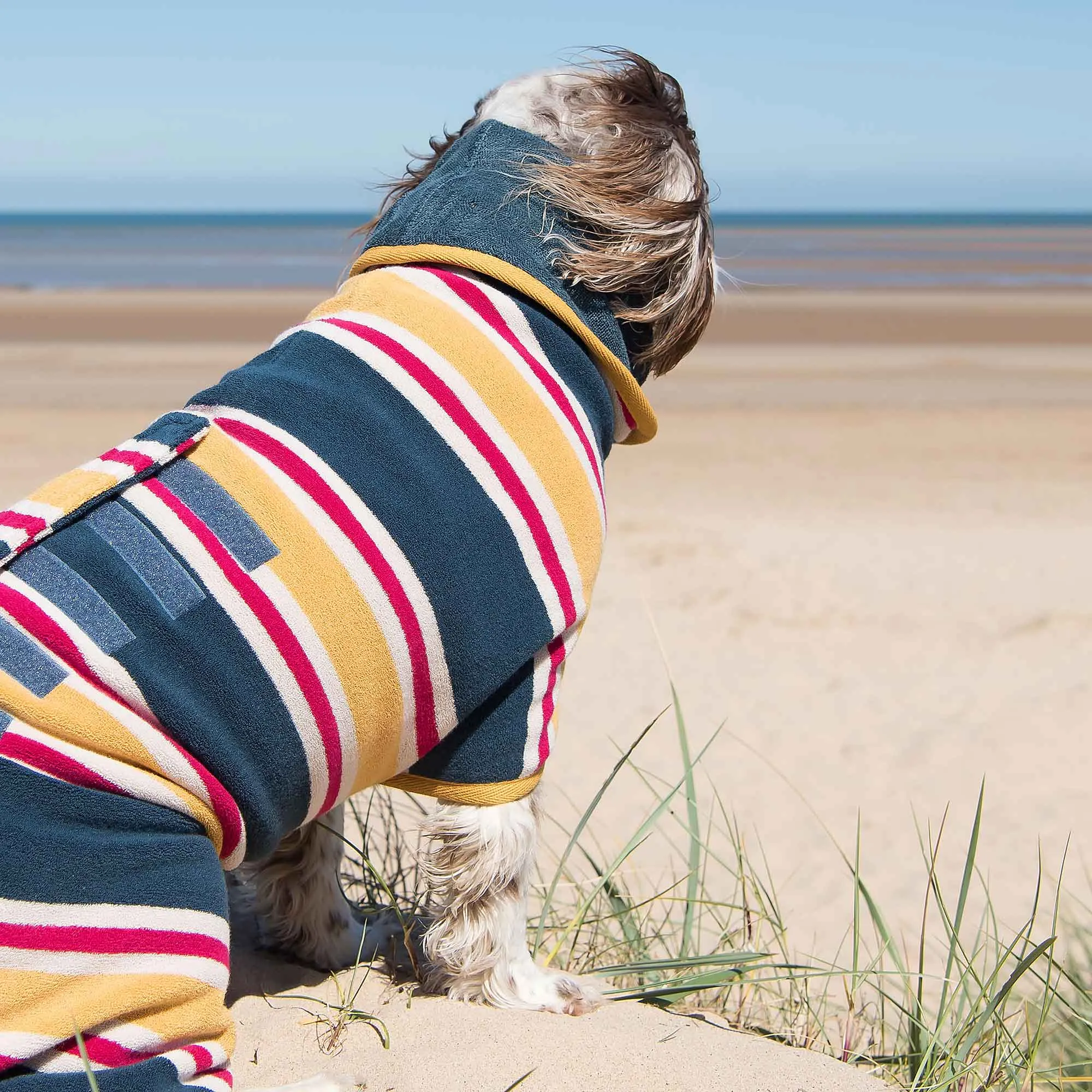 Dog Drying Coat Beach Design Collection by Ruff and Tumble